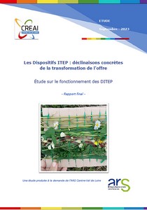 Publication de l'étude sur les DITEP en région Centre-Val de Loire